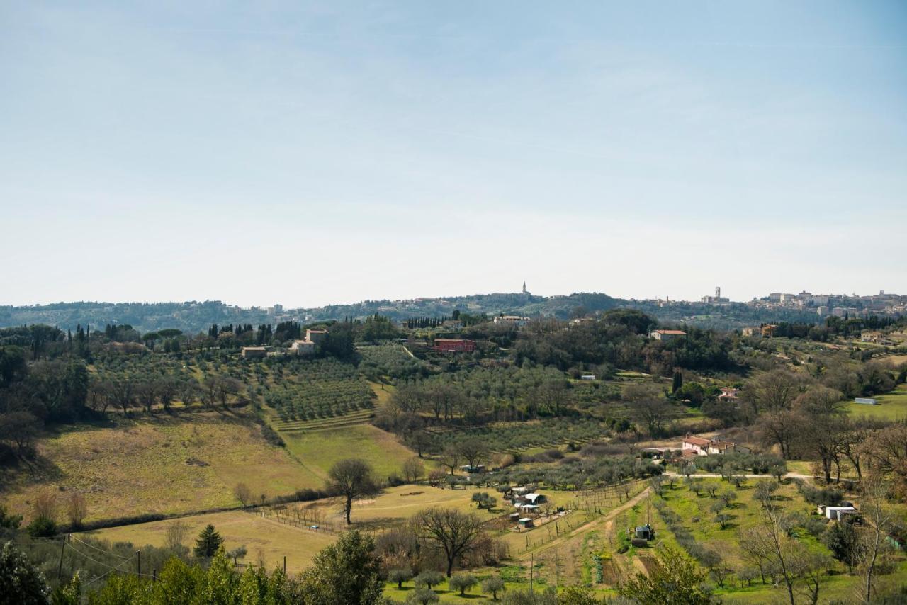 Stella Perugia