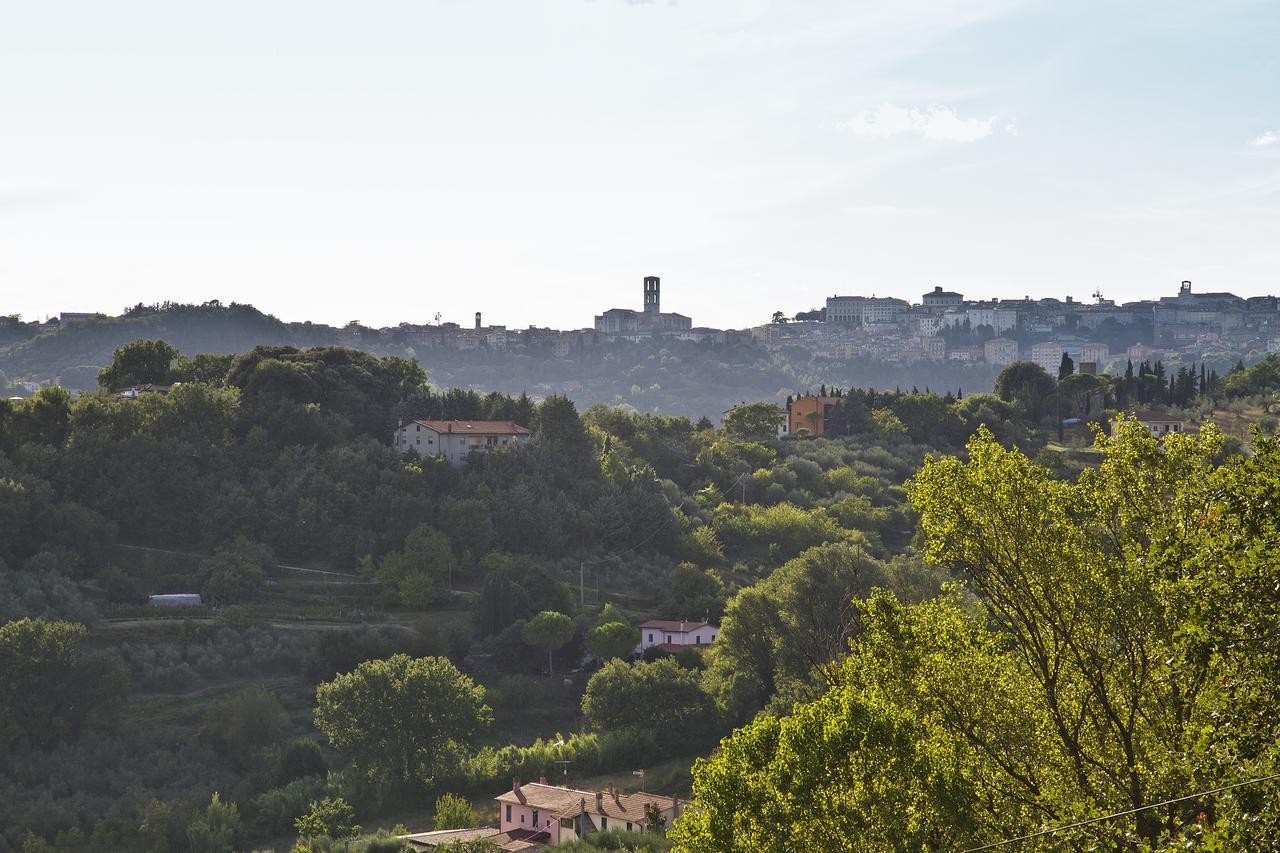 Stella 2* Perugia